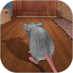 银河总站网址游戏下载-银河总站网址最新版下载 v2.2 安卓版